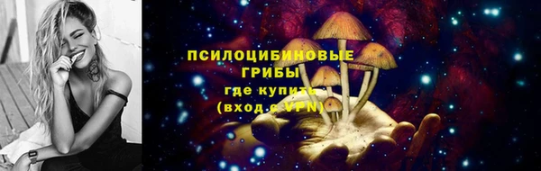 гидропоника Новозыбков
