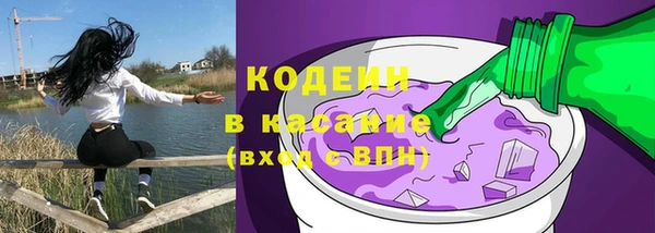 ГАЛЛЮЦИНОГЕННЫЕ ГРИБЫ Няндома