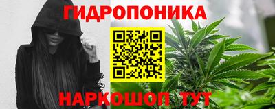 индика Изобильный