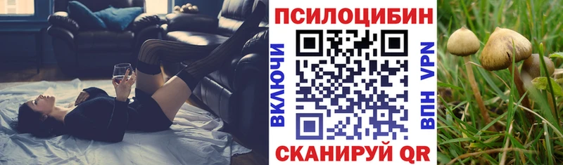 Галлюциногенные грибы Psilocybe Петровск