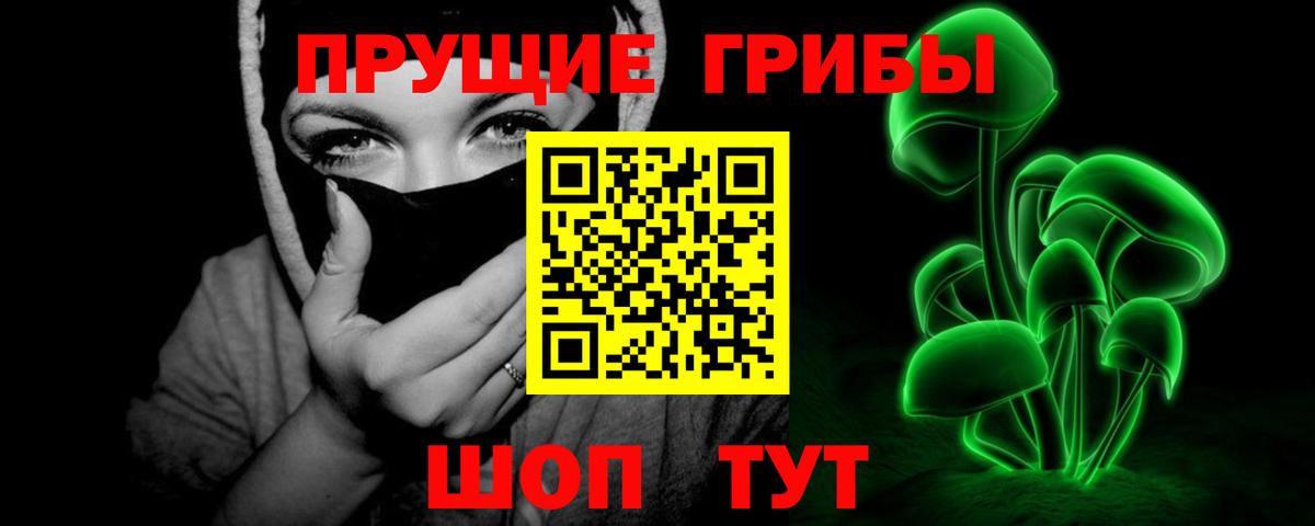 купить  цена  Галлюциногенные грибы Cubensis  Петровск  Вход с VPN  Псилоцибиновые грибы Psilocybe 